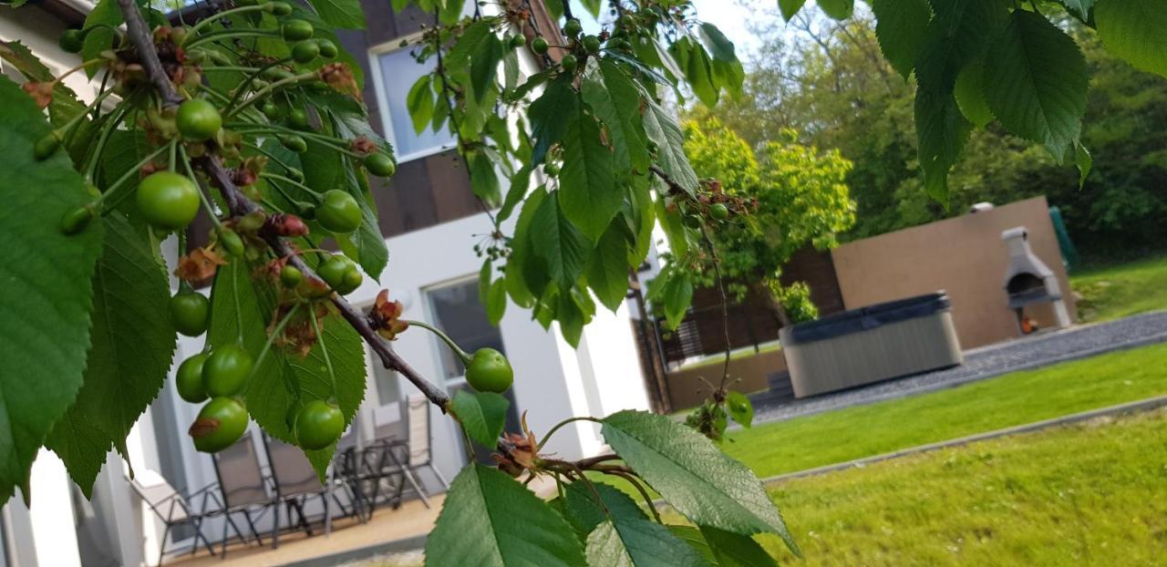 באלאטונקנשה Kenese-Voelgye Villahotel מראה חיצוני תמונה